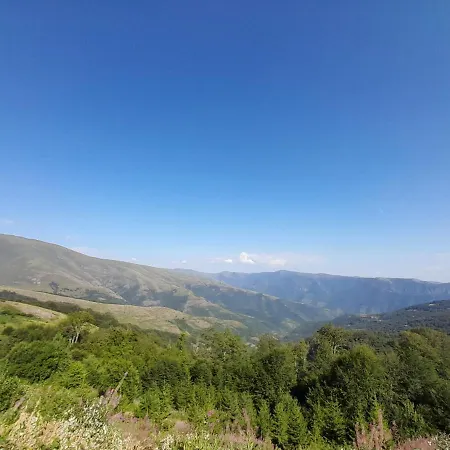 Stefanovic - 1 Lejlighed