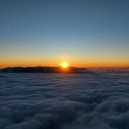 Stefanovic - 1 Inovo