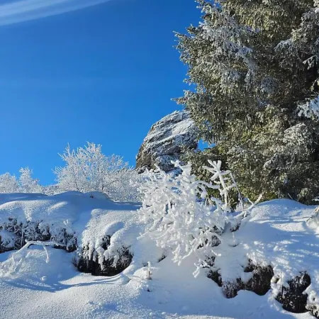 Stefanovic - 1 شقة