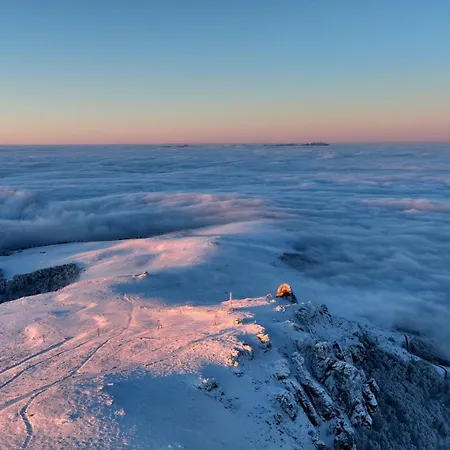 Stefanovic - 1 شقة *