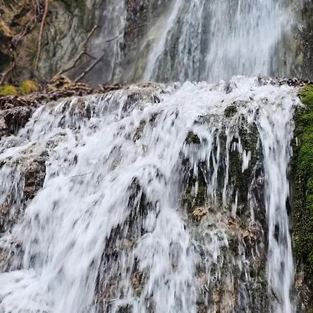 شقة Stefanovic - 1 *