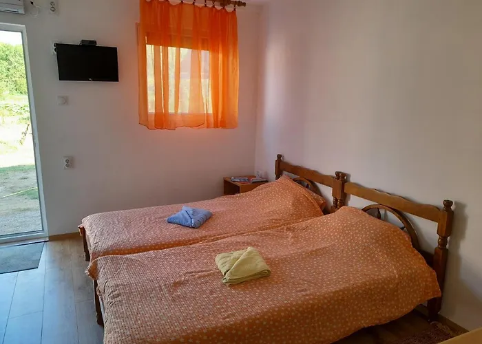 Stefanovic - 1 Inovo