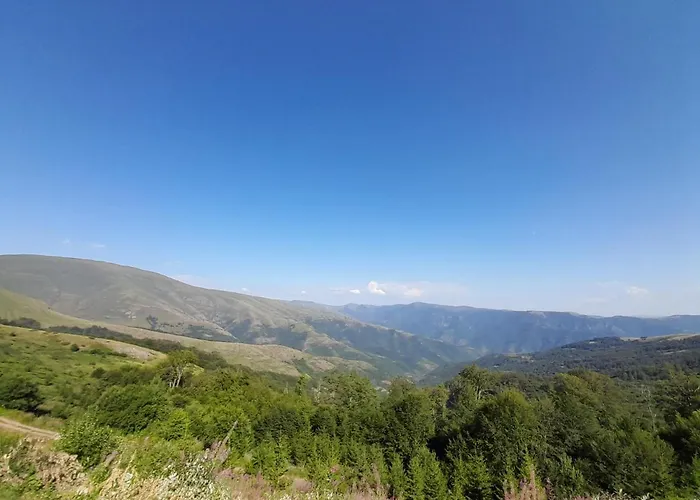 Stefanovic - 1 Apartament