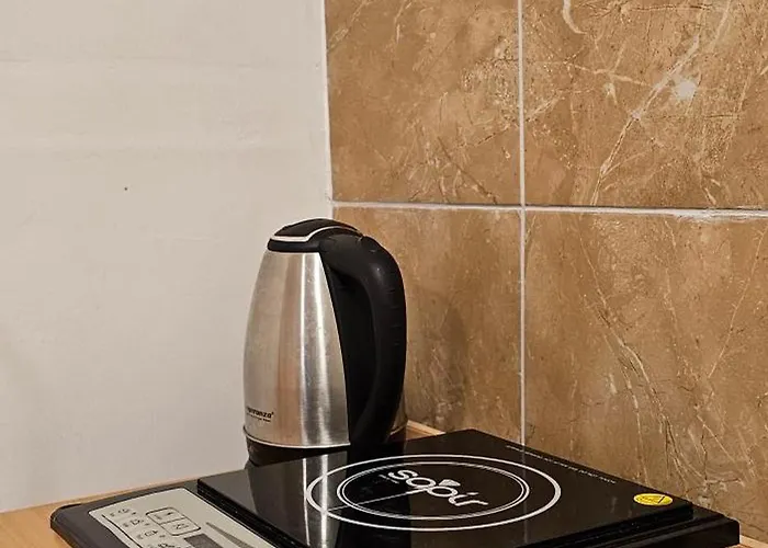 Stefanovic - 1 Inovo