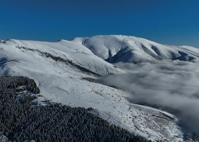 Apartament Stefanovic - 1 *