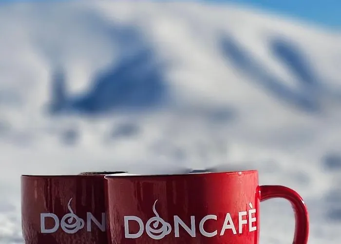 Stefanovic - 1 Apartamento Inovo