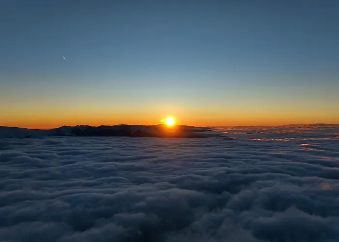 Stefanovic - 1 Inovo