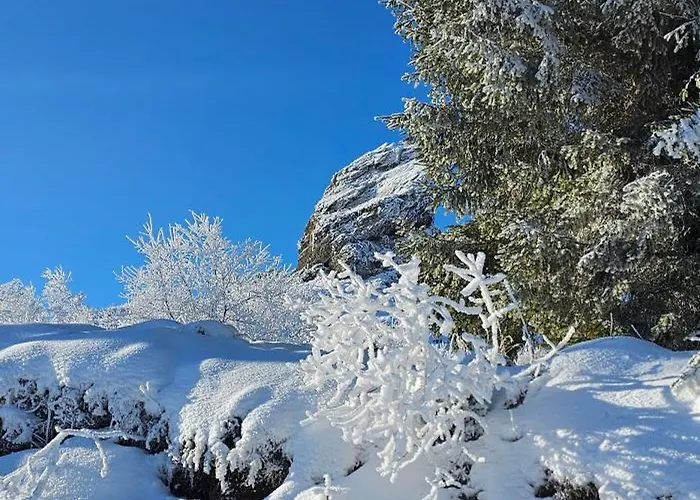 Stefanovic - 1 Apartament