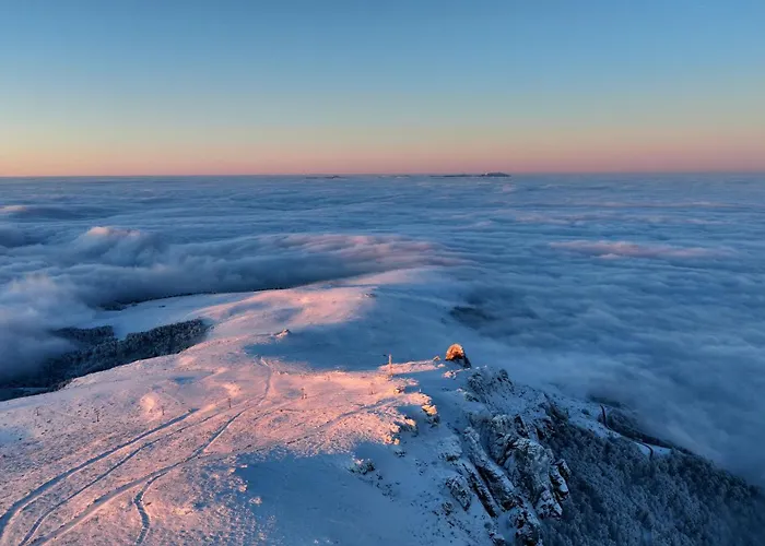 Stefanovic - 1 Apartamento *